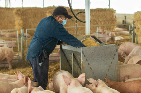 Proceso Logístico